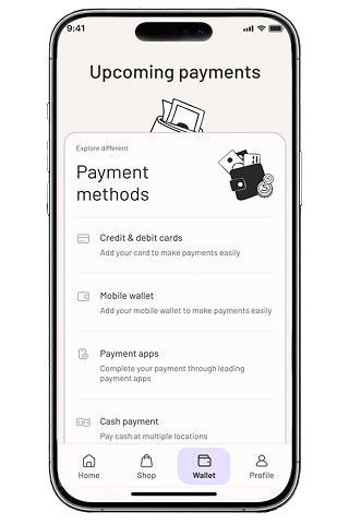 Lucid app upcoming payments screen mockup
