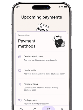 Lucid app upcoming payments screen mockup